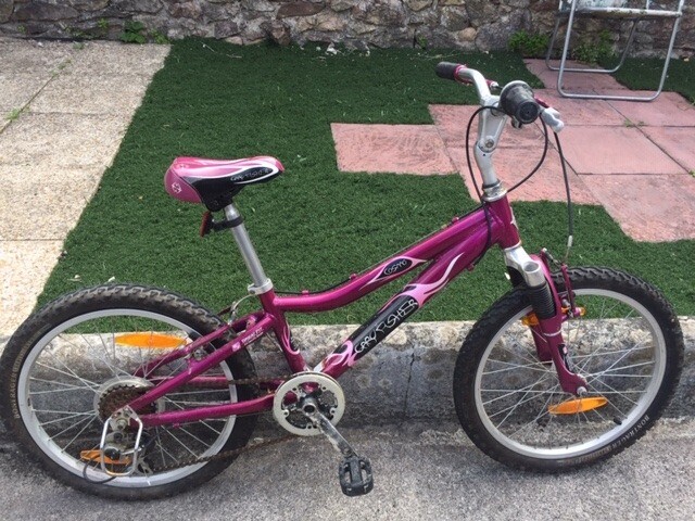gary fisher 20 inch bike